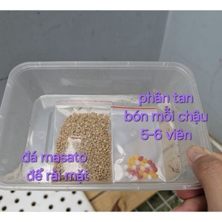 Combo đất trồng sen đá/giá thể xịn siêu thoát nước 90% đá Mầm Nắng Garden lỗi 1 đền 1
