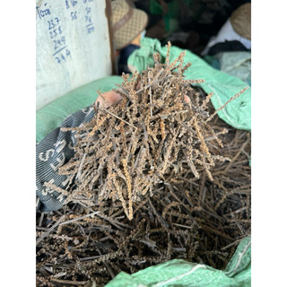Bông mã đề khô 1kg, hỗ trợ giảm tiểu dắt, bí tiểu, đánh bay sỏi thận, tốt cho đường tiết niệu