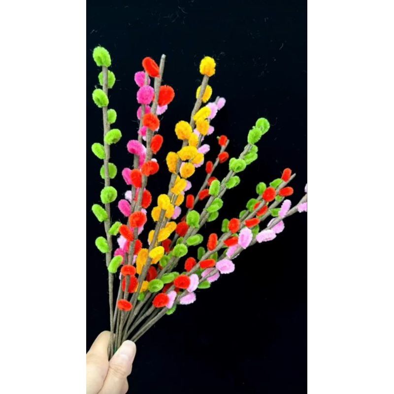 Nụ Tầm Xuân Kẽm Nhung Trưng Tết Đẹp