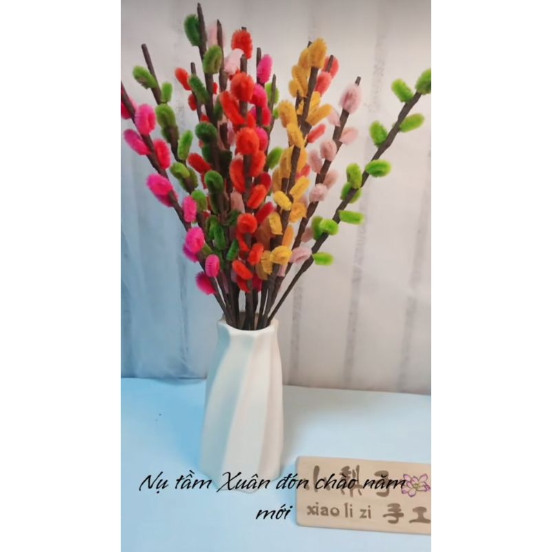 Nụ Tầm Xuân Kẽm Nhung Trưng Tết Đẹp
