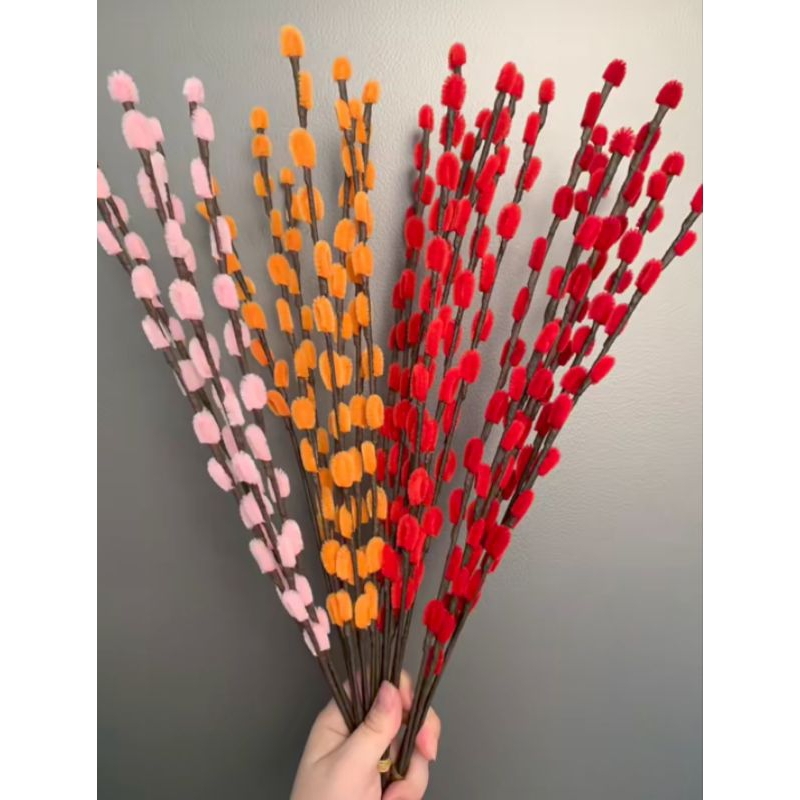 Nụ Tầm Xuân Kẽm Nhung Trưng Tết Đẹp