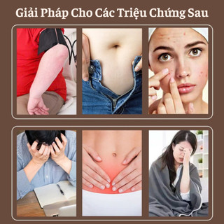 Hộp 5 Miếng Dán Giảm Mỡ Bụng Ngải Cứu Giảm Béo Tan Mỡ Detox Thải Độc Cơ Thể Hiệu Quả Tiện Lợi