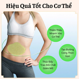 Hộp 5 Miếng Dán Giảm Mỡ Bụng Ngải Cứu Giảm Béo Tan Mỡ Detox Thải Độc Cơ Thể Hiệu Quả Tiện Lợi