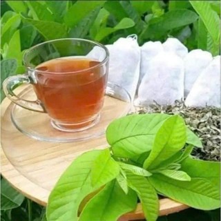 Trà búp ổi,Trà lá ổi non,Trà thảo mộc,40 gói/hộp