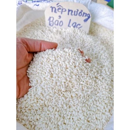 Gạo nếp nương Bảo Lạc, nếp nương hong gác bếp, dẻo thơm không lại gạo (1kg)