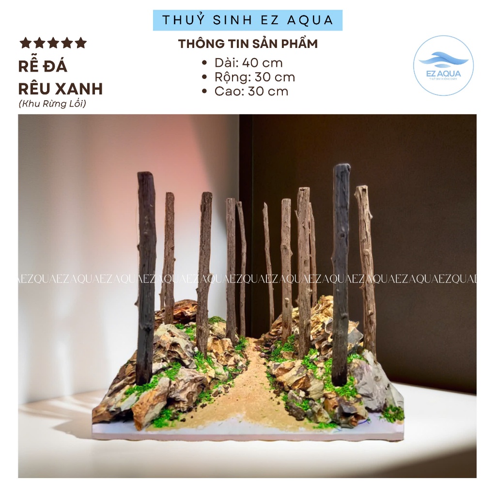 Layout khu rừng thuỷ sinh trang trí hồ cá kích thước 40cm | Shopee Việt Nam