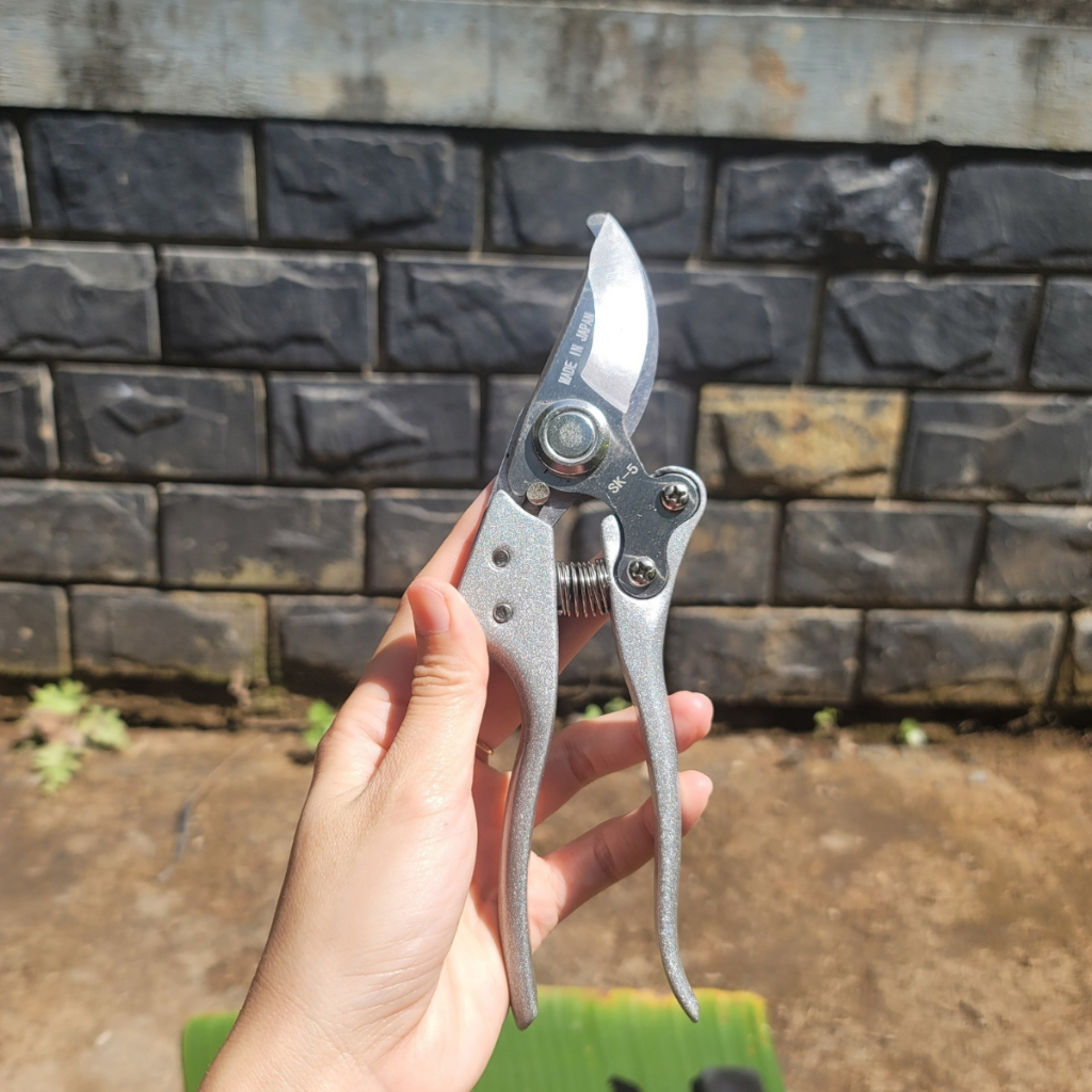 Bộ cưa kéo cắt cành dụng cụ Cây Cảnh Nhật Bản Kéo Tỉa Thép Trắng Cưa Lách New và Cưa Barker.....