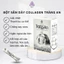 Bột Sắn Dây Collagen Tràng An - Hộp 12 Gói - Thức Uống Cho Phái Đẹp - Năng Lượng Của Tự Nhiên