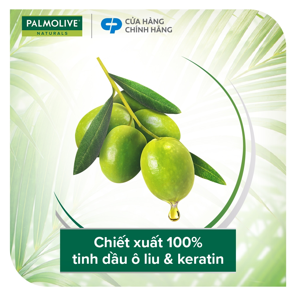 Ảnh Bộ 2 Dầu gội Palmolive kèm xả 2-trong-1 chiết xuất Sữa dừa và Keratin kết hợp quả ô liu 600ml 4