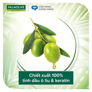 Sữa tắm Palmolive 95% chiết xuất từ hoa phong lan 500g và Dầu gội Palmolive có dầu xả karetin & dầu oliu 180ml