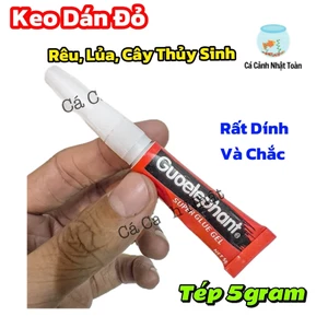 KEO DÁN RÊU, CÂY THỦY SINH GUOELEPHANT TÉP 5GRAM