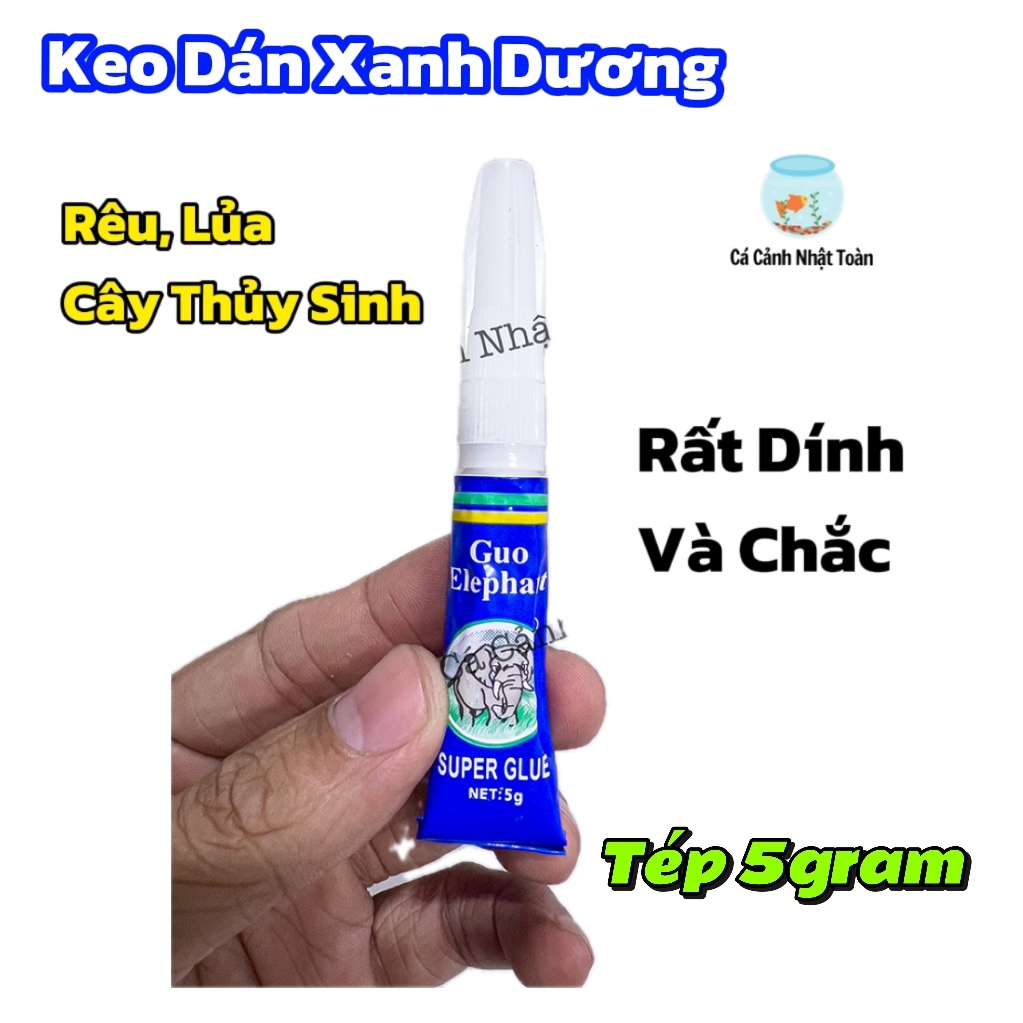KEO DÁN RÊU CHO CÂY THỦY SINH