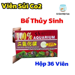 CO2 VIÊN KHÔ CHO HỒ CÁ THỦY SINH 36 VIÊN