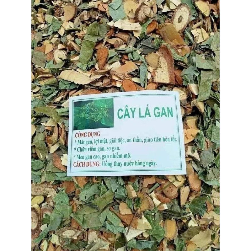 1Kg CÂY LÁ GAN KHÔ GIÚP THANH NHIỆT GIẢI ĐỘC GAN | Shopee Việt Nam