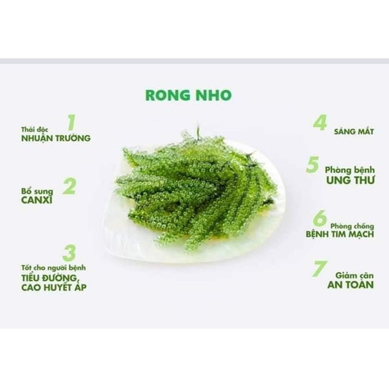 RONG NHO TÁCH NƯỚC 100G (ngâm nước nở ra được 300g) | Shopee Việt Nam