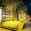 Led Bông Lúa Bó 10 Bông Kèm Phích Cắm, Trang Trí Tết, Bàn Thờ Gia Tiên - Đại Diện Sự Ấm No,Sung Túc Cả Năm