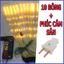 Led Bông Lúa Bó 10 Bông Kèm Phích Cắm, Trang Trí Tết, Bàn Thờ Gia Tiên - Đại Diện Sự Ấm No,Sung Túc Cả Năm