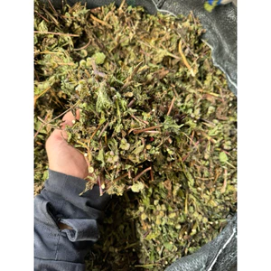 Cây Cứt Lợn (Ngũ Sắc) Khô 1kg Nguyên Chất | Dược Liệu Khô Chọn Lọc | Thảo Dược Đạt Huyền
