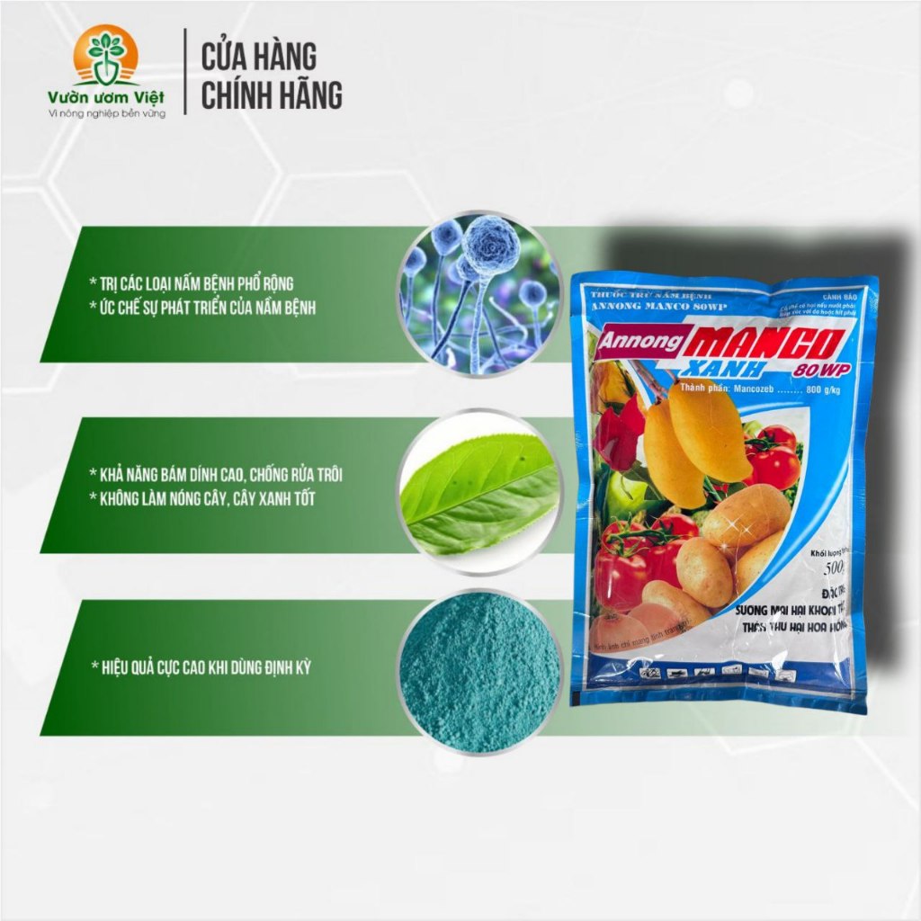 Thuốc trừ bệnh MANCO XANH (Mancozeb) ngăn ngừa và trị nấm bệnh phố rộng trên nhiều loại cây trồng