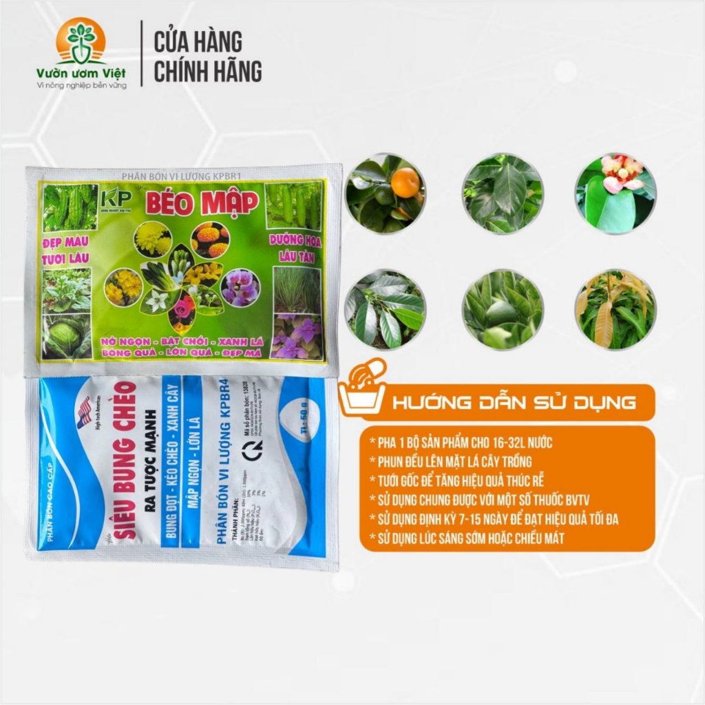 Combo phân bón lá Siêu Bung Chèo - Béo Mập dưỡng lá xanh dày, lên đọt nhanh, mập thân thần tốc