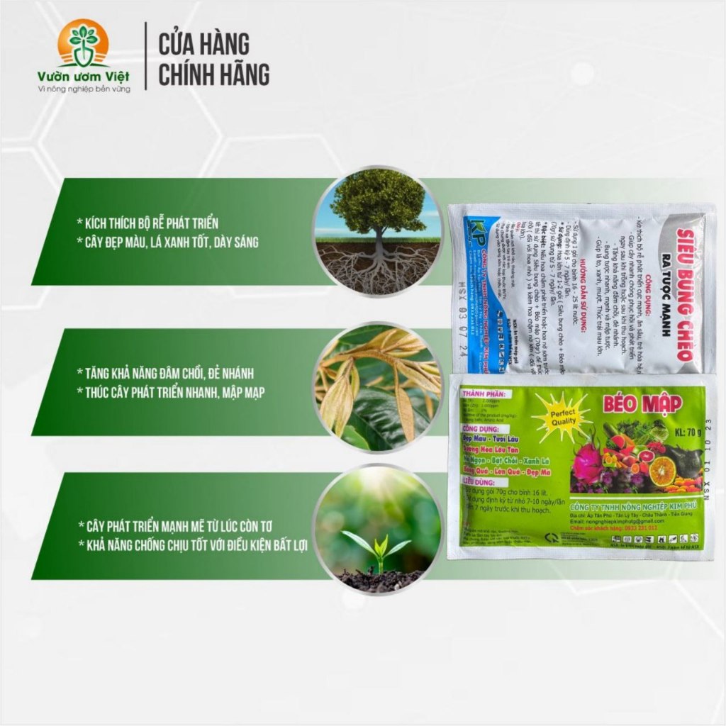 Combo phân bón lá Siêu Bung Chèo - Béo Mập dưỡng lá xanh dày, lên đọt nhanh, mập thân thần tốc