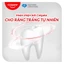 Kem đánh răng Colgate Thiên Nhiên Than Tre 180g