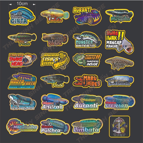 sticker - tem dán cá lóc cảnh 10cm - trang trí hồ cá theo phong cách ...