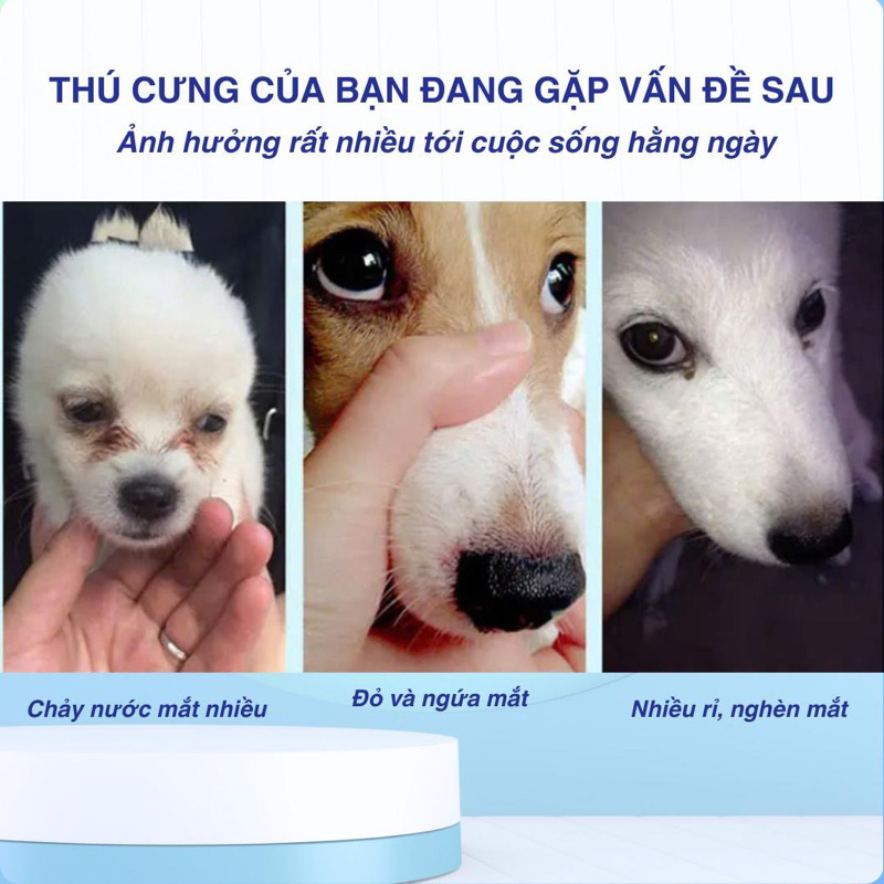 Dung dịch nhỏ mắt cho chó mèo giảm chảy nước mắt, ngừa viêm kết mạc và đổ nghèn