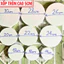 Đế xốp tròn cao 5-10cm làm tháp bánh sinh nhật, tháp bánh kẹo (có sai số 0.5cm)