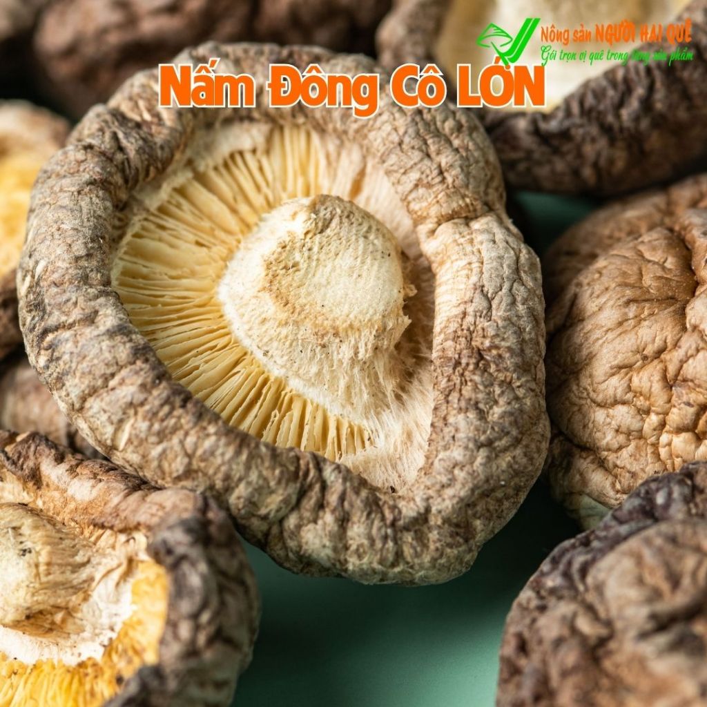 Nấm đông cô khô ĐỦ LOẠI - Dày cơm, thơm, béo Hút chân không | Nông sản NGƯỜI HAI QUÊ
