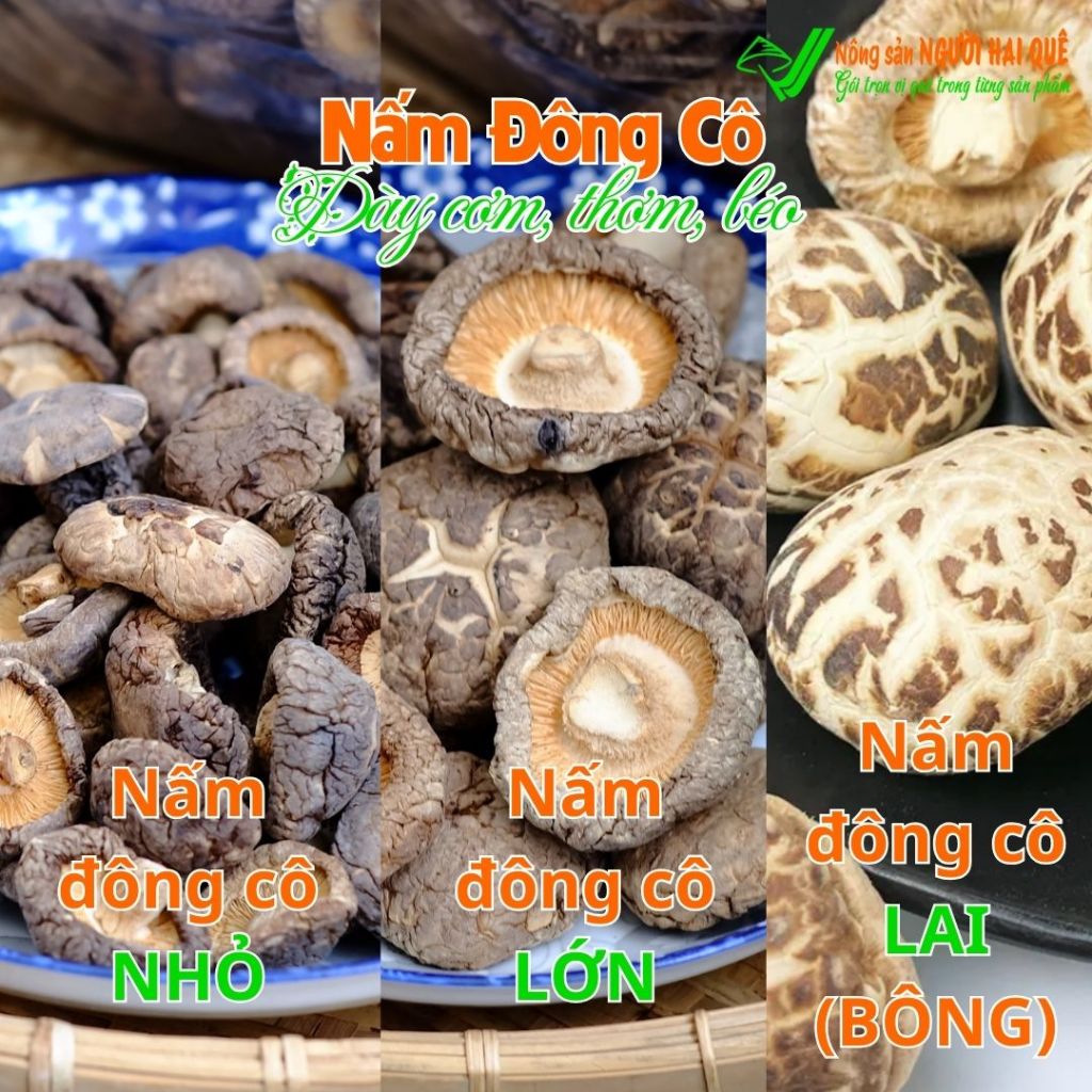 Nấm đông cô khô ĐỦ LOẠI - Dày cơm, thơm, béo Hút chân không | Nông sản NGƯỜI HAI QUÊ