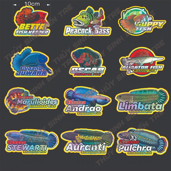 sticker - tem dán cá lóc cảnh 10cm - trang trí hồ cá theo phong cách ...