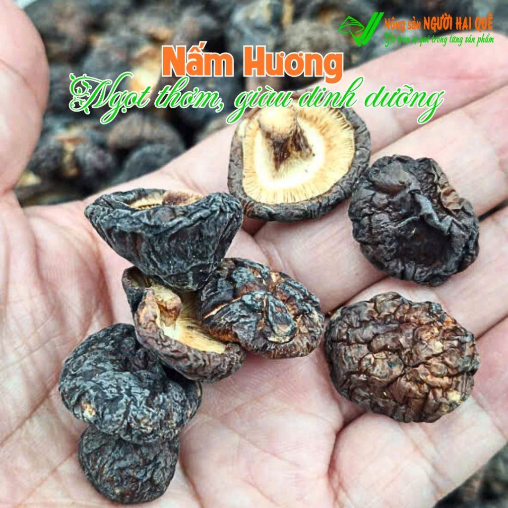 Nấm hương - Ngọt thơm, giàu dinh dưỡng Hút chân không | VIETFLAVOUR
