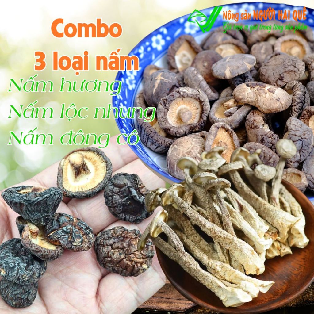 Combo nấm Hương (thật) + Lộc nhung + Đông cô cho bếp nhà bạn | Nông sản NGƯỜI HAI QUÊ