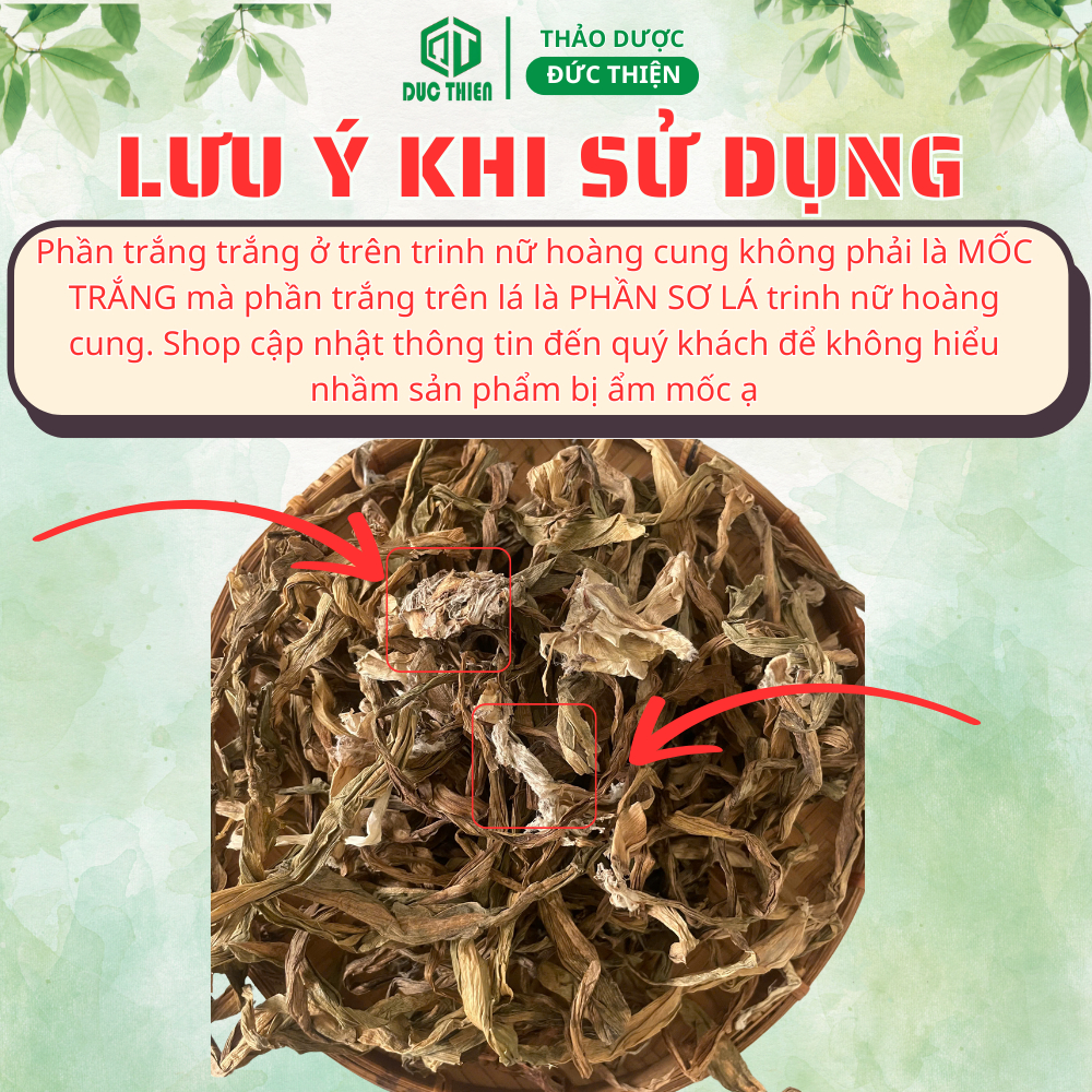 200g, 500g Trinh Nữ Hoàng Cung Thảo Dược Đức Thiện (Khô, Sạch, Thơm) - Hỗ Trợ Phụ Nữ, Ngừa U Xơ