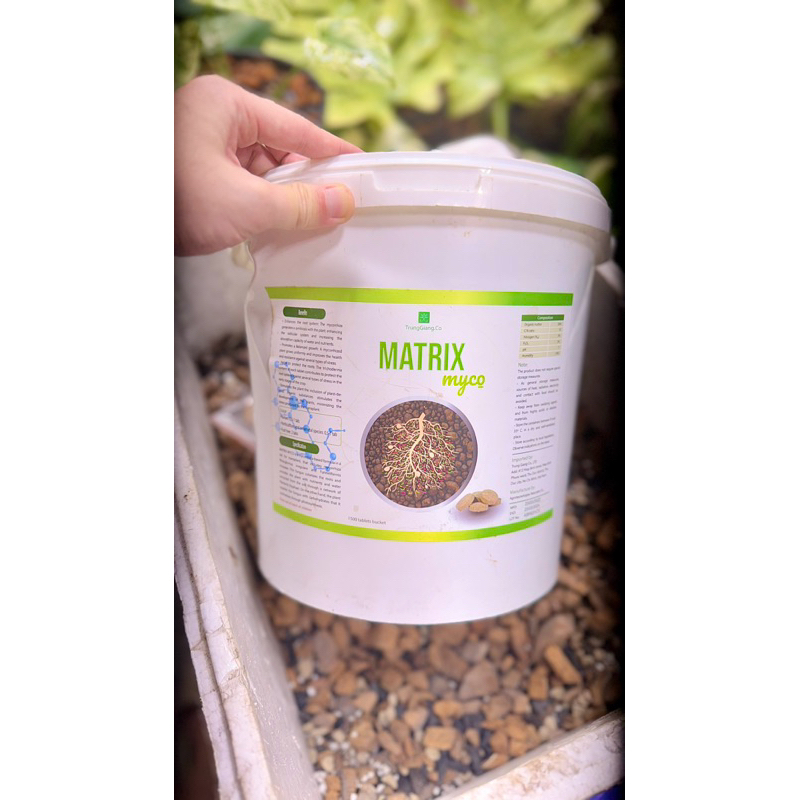 Vi Sinh Myco Matrix , nấm rễ cộng sinh