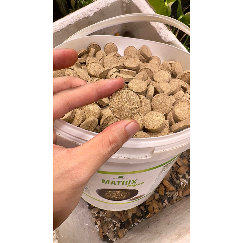 Vi Sinh Myco Matrix , nấm rễ cộng sinh