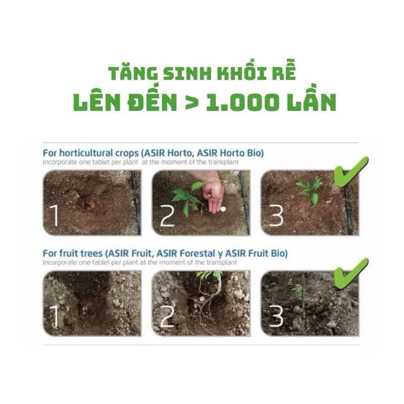 Vi Sinh Myco Matrix , nấm rễ cộng sinh
