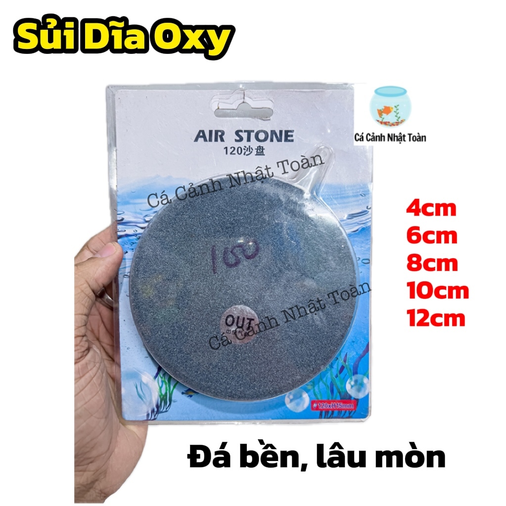 SỦI DĨA OXY BỂ CÁ CẢNH 4CM 6CM 8CM
