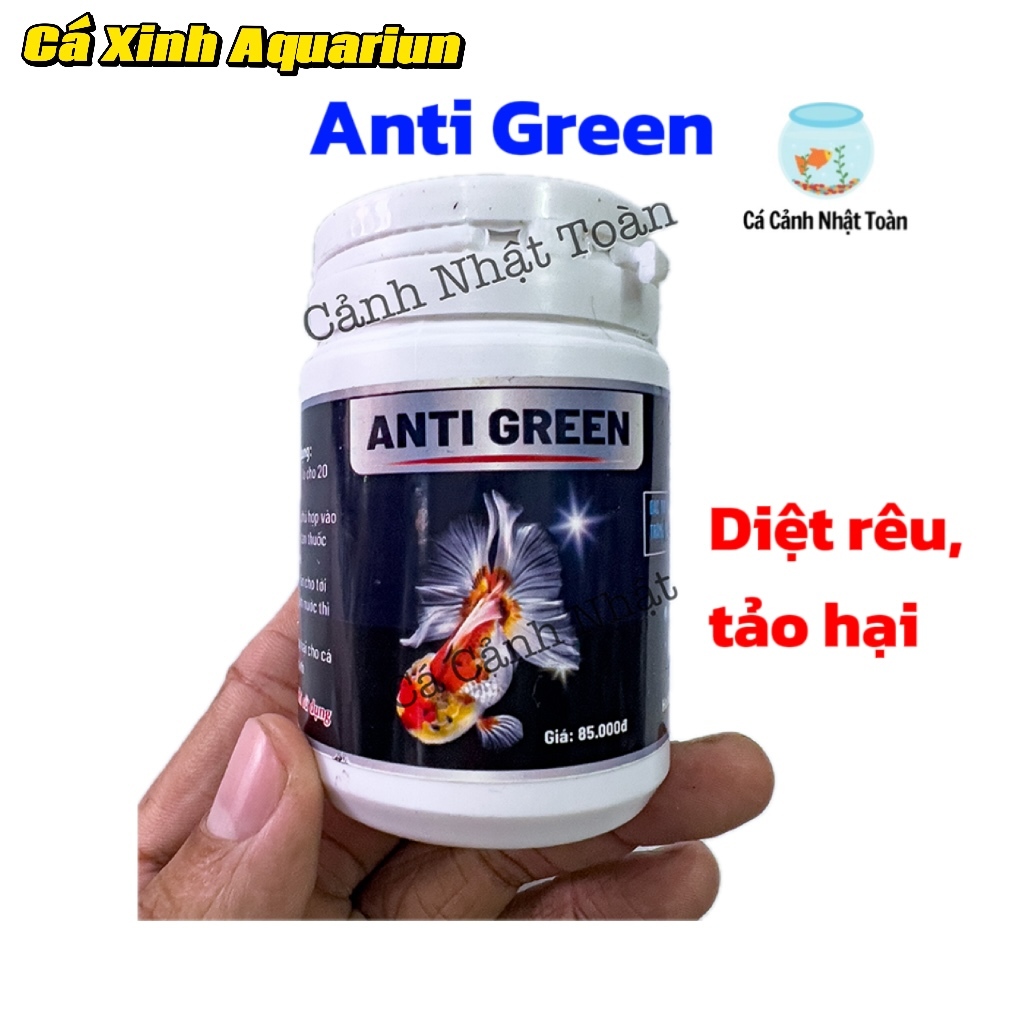 ANTI GREEN DIỆT TẢO LAM, KHỬ NƯỚC HỒ CÁ BỊ ĐỤC XANH, ĐỤC TRẮNG CÁ XINH AQUARIUM