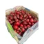 Cherry newzealand phiên bản hộp quà có quai xách
