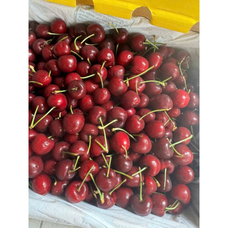 [ JENNY FRUIT ] Cherry newzealand phiên bản hộp quà có quai xách