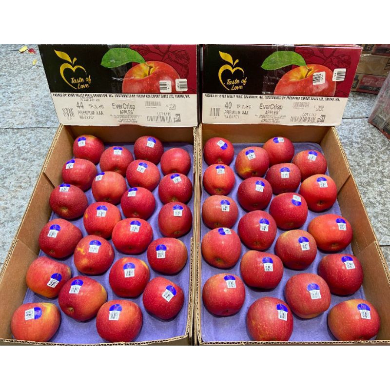 < HỎA TỐC > < JENNY FRUIT > TÁO MỸ giòn ngọt