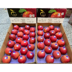 < HỎA TỐC > < JENNY FRUIT > TÁO MỸ giòn ngọt