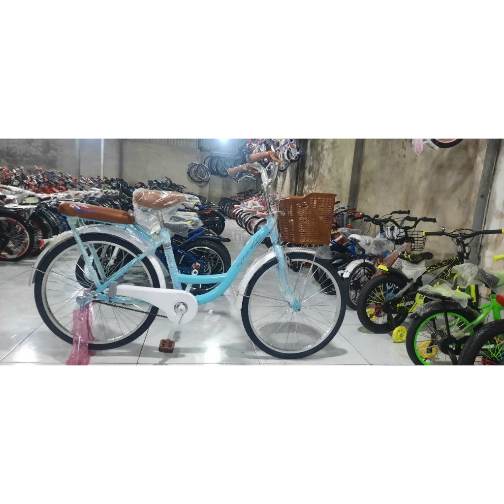 XE ĐẠP THỜI TRANG NỮ WINDOW phù hợp mọi lứa tuổi