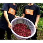 [CÓ GIÁ SỈ] Cà phê Arabica Cầu Đất Nguyên Chất Rang Mộc - Cafe Pha Phin Pha Máy ColdBrew và Drip, Arabica Coffee — ảnh 7