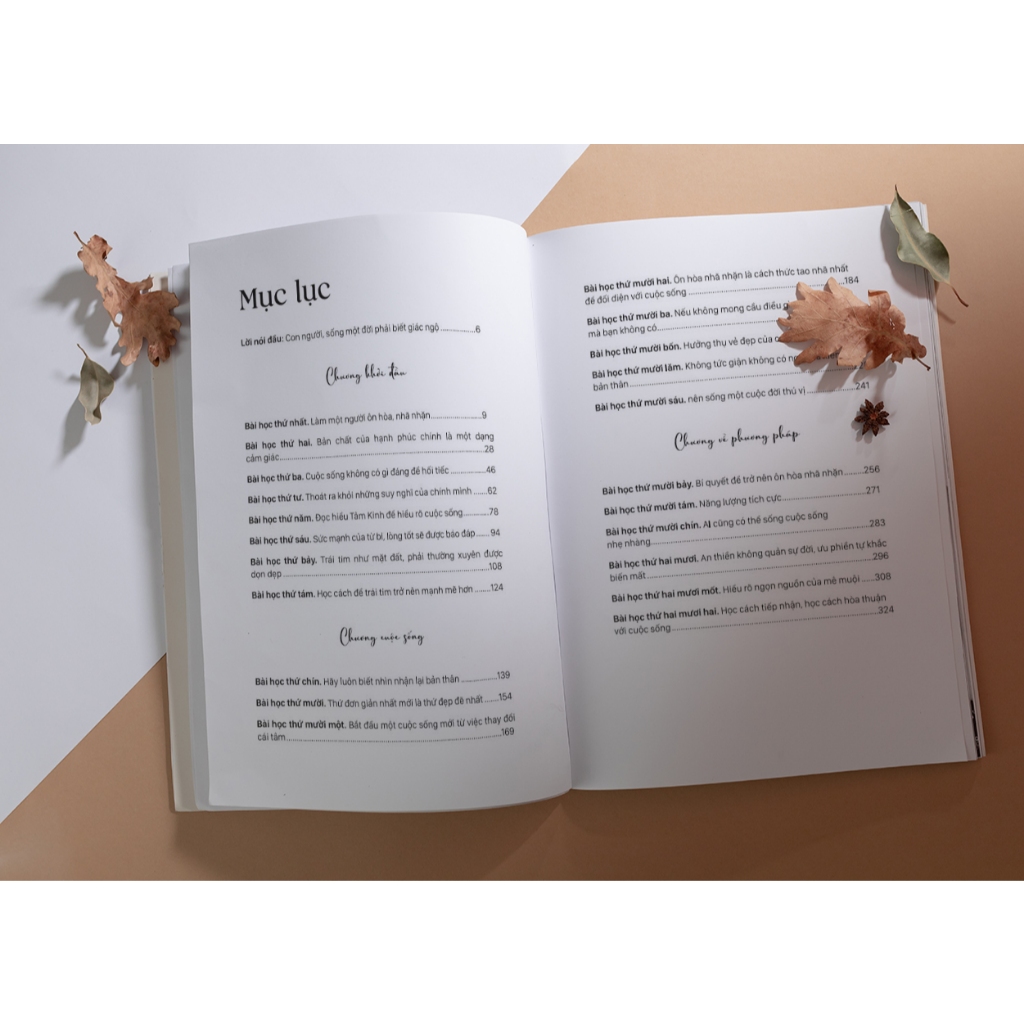 Sách Học Cách Làm Bạn Với Cảm Xúc: Hạnh Phúc Đến Từ Nội Tâm - Bizbooks