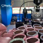 [CÓ GIÁ SỈ] Cà phê Gu Vừa Nguyên Chất Rang Mộc - Cafe Pha Phin Pha Máy - Vị đắng đậm, ngọt chua thanh- Coffee -Roplus — ảnh 3