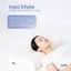 Combo Ruột gối chống đau mỏi cổ vai gáy và Vỏ gối lụa Tencel Sen Đá Home Bedding trơn màu