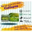 Bột lột mụn trà xanh collagen Mỹ hạnh kèm 2 bộ chén cọ, lấy mụn cám mụn đầu đen ,50g